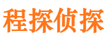 咸丰侦探调查公司